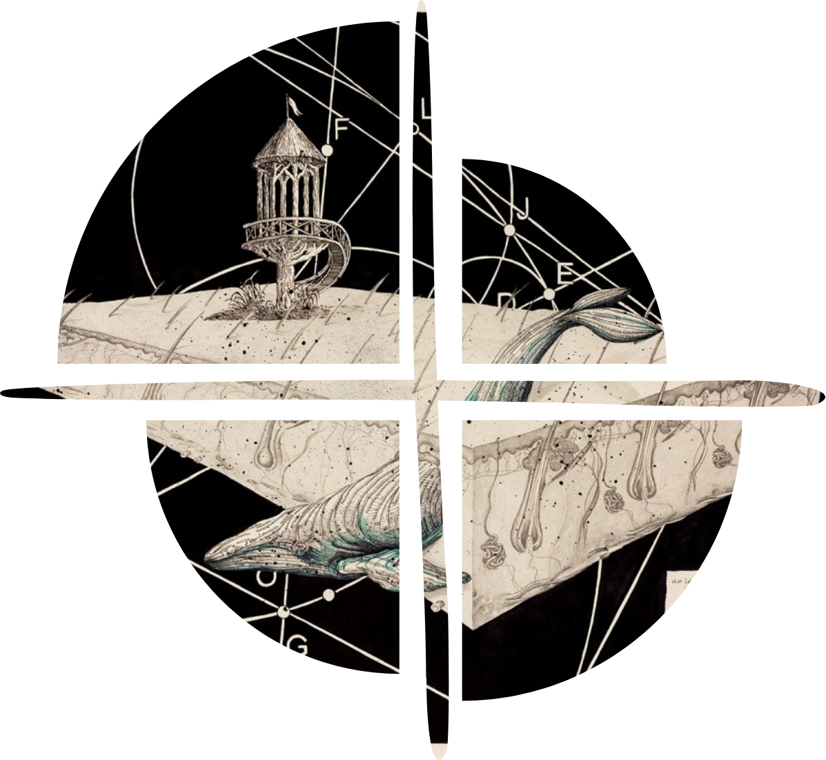 political-quiz-emerge